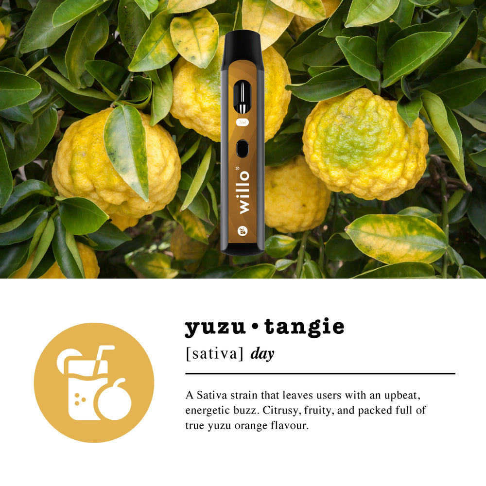 
                  
                    Load image into Gallery viewer, 2000mg THC Disposable Vape Pen - YUZU TANGIE
                  
                